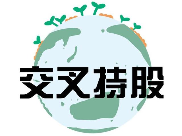交叉持股安排设计(交叉持股怎么计算持股比例)六安市