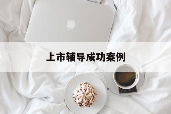 上市辅导成功案例(上市辅导成功后肯定会上市吗)六安市 上市辅导成功案例(上市辅导成功后肯定会上市吗)六安市