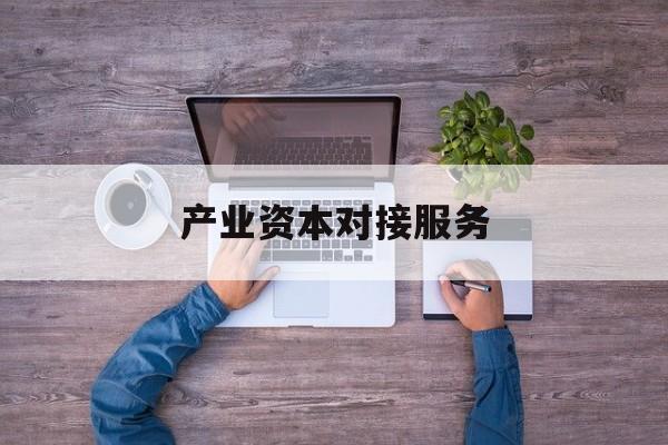 产业资本对接服务(产业资本对接服务包括哪些)六安市